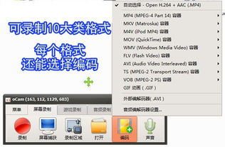 錄屏小將OCam 全能錄屏截圖錄音，專業(yè)攝影服務(wù)一應(yīng)俱全